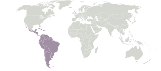 South Florida is part of the Neotropical realm (in purple).