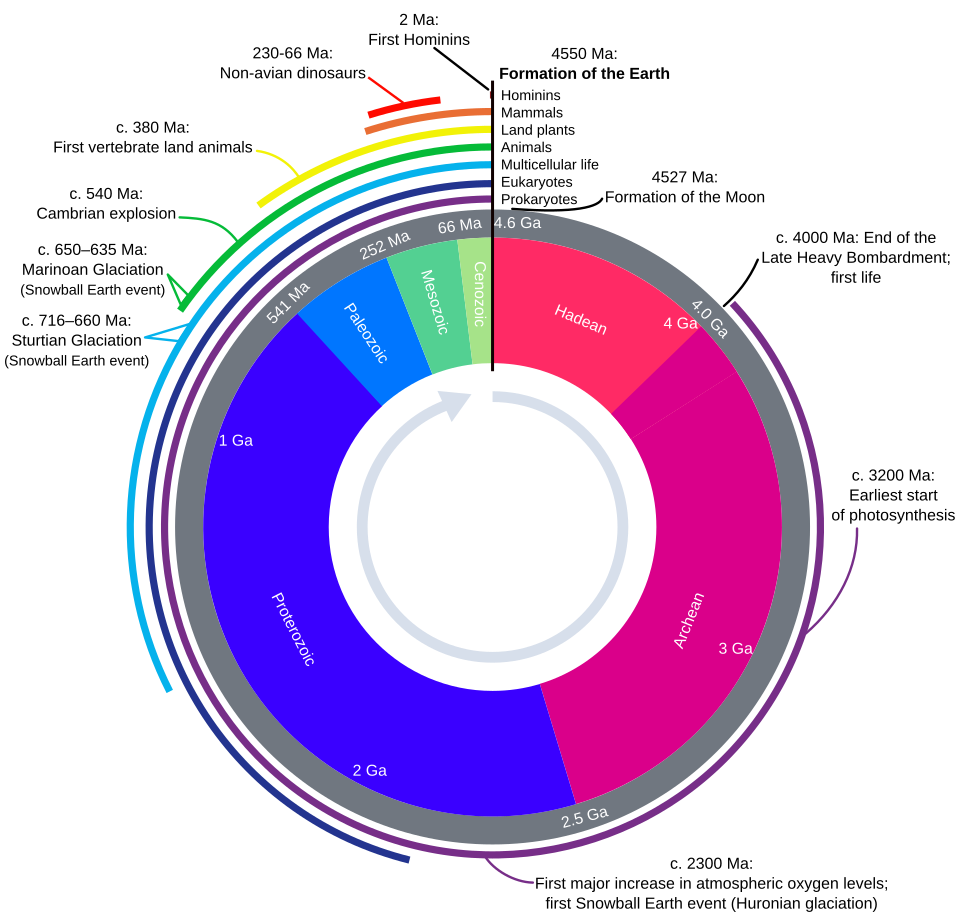 Geologic time represented by a geological clock, showing the relative lengthsof the eons of Earth's history and noting major events