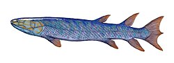 Eusthenopteron, ≈385 Ma