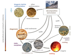 The rock cycle shows the relationship between igneous, sedimentary, and metamorphic rocks.
