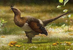 Serikornis