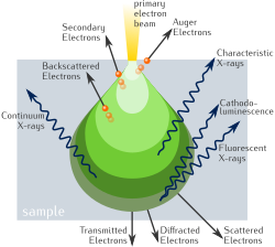 Electron–matter interaction volume and types of signal generated in a SEM