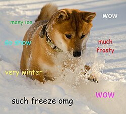 Photograph of a Shiba Inu dog playing in snow, with superimposed text "wow" / "many ice" / "so snow" / "much frosty" / "very winter" / "wow" / "such freeze omg" in the Comic Sans font and in varying colors scattered throughout the image.