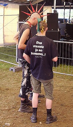 The punk rock subculture dismisses and excludes poseurs deemed not to understand, abide, or live the value system of the subculture.