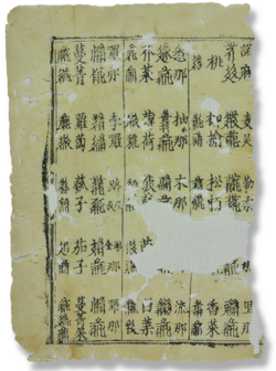 Blockprinted page from the Pearl in the Palm found at the Northern Mogao Caves