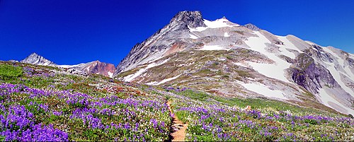 Alpine tundra in the North Cascades of Washington, United States