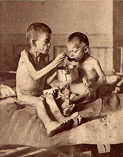 Nansen's photos on postcards were meant to raise awareness about the famine