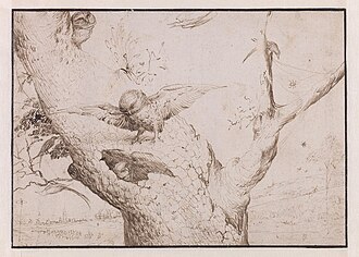 The Owl's Nest, Pen and bistre on paper, 140 × 196 mm. Rotterdam, Museum Boijmans Van Beuningen.