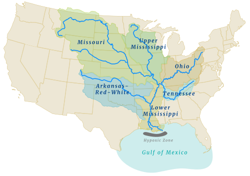 The Mississippi River drains the largest area of any U.S. river, much of it agricultural regions. Agricultural runoff and other water pollution that flows to the outlet is the cause of the hypoxic or dead zone in the Gulf of Mexico.