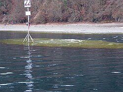Diving spot "devils table" at Lake Constanze