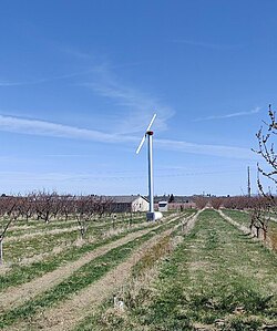 Frost protection fan, a type of wind machine, in an orchard near Yakima, WA