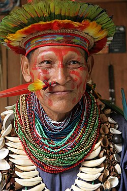 An Amazonian shaman from Ecuador