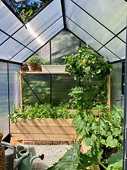 Private greenhouse in Finland.