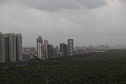 Skyline across Palm Beach Road
