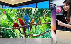 A 3D OLED TV made by Korean LG Display, the world's largest LCD and OLED maker