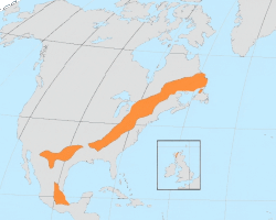 Land added to Laurentia during the Grenville orogeny