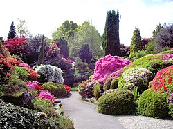 The Rock Garden, Leonardslee Gardens