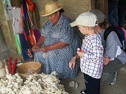 Andean woman sorting wool as part of the theme park Los Aleros in Mérida, Venezuela