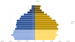 The Population pyramid of Kerala