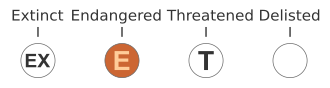 "Endangered" in relation to "threatened" under the ESA