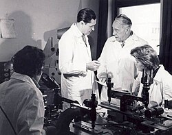 Hulubei in his lab