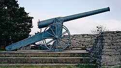 Profile view of the 155 mm Creusot Long Tom replica in the Long Tom Pass, Mpumalanga.