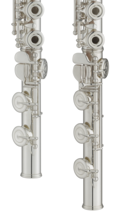 Comparison of a C foot and a B foot (right)