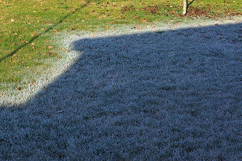 A patch of grass showing three zones. crystalline frost in the below-freezing shade (blue, lower right)frost in the warming but still below freezing strip most recently exposed to sunlight (white, center)frost-free region: here, the previous frost has melted from a more prolonged exposure to sunlight (green, upper left.)