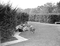 Historical image of the early years of the gardens