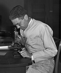 Munz in 1935