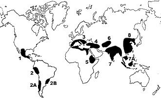 Vavilov's 1924 scheme suggested that cultivated plants were domesticated in China, Hindustan, Central Asia, Asia Minor, Mediterranean, Abyssinia, Central and South America.
