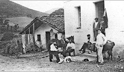 Basque Countrymen near the France–Spain border in 1898, with characteristic horse, donkey and dogs. These were the type of animals introduced to America.