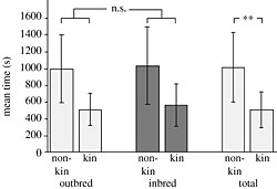 Mean time (±s.d.) females spent courting in front of the non-kin (left bars) and brothers (right bars). Given is the time females spent in the choice zone measuring 7×19 cm in front of the males' compartments for outbred (n=9) and inbred fish (n=7) as well as for all females (n=16). Each test lasted 1800 s. n.s., non-significant, **p<0.01.