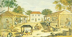 Slaves processing tobacco in 17th-century Virginia, illustration from 1670