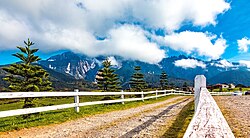 Sabah's Desa Dairy Farm, dubbed as the little New Zealand due to the similar scenery view with the latter country[257][258]