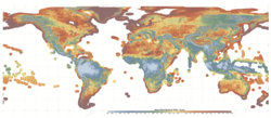 Global map of wind speed at 100 meters on land and around coasts.[13]