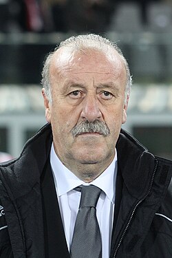 Del Bosque as Spain head coach in 2009
