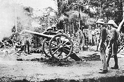 British artillery in Kamerun, 1915