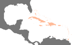 The West Indies (or Antilles) in relation to the continental Americas