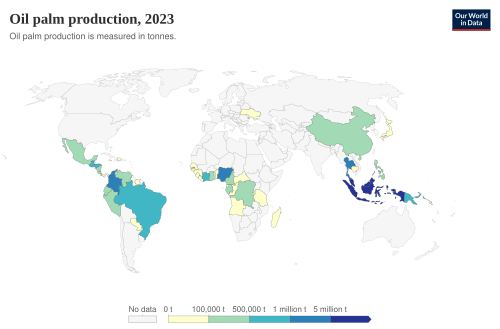 Palm oil production