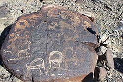 Petroglyphs of local sheep, Sary Kamysh