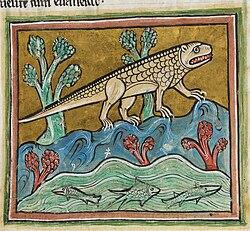 Crocodile in the medieval Rochester Bestiary, late 13th century