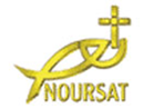 Noursat logo