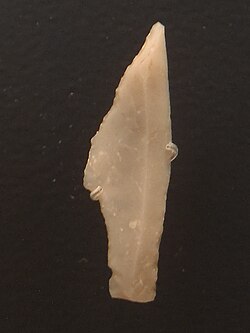 Sharp flint piece from Bjerlev Hede in central Jutland. Dated around 12,500 BC and considered the oldest hunting tool from Denmark.