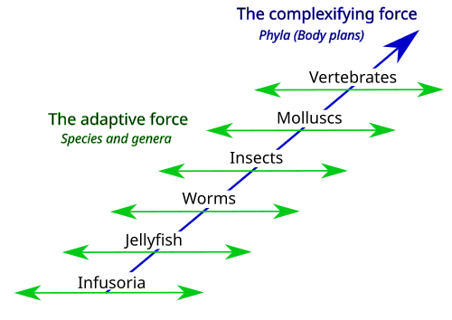 The second of Jean-Baptiste Lamarck's two factors (the first being a complexifying force) was an adaptive force that causes animals with a given body plan to adapt to circumstances by inheritance of acquired characteristics, creating a diversity of species and genera.