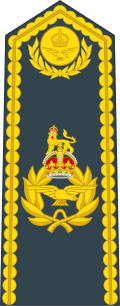 An RAF air officer's shoulder board