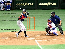 The strike zone determines the result of most pitches, and varies in vertical length for each batter.