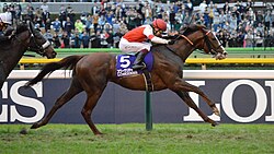Suave Richard crossing the finish line at the 2019 Japan Cup, winning the race, 3/4ths of a length ahead of Curren Bouquetd'or, who can also be seen in the picture