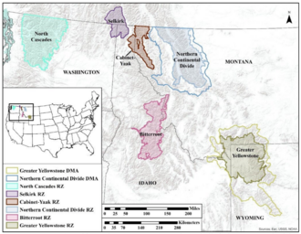 Grizzly bear management in 6 populations.[304]