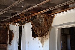 Hive on Gila River Indian Community land in Arizona